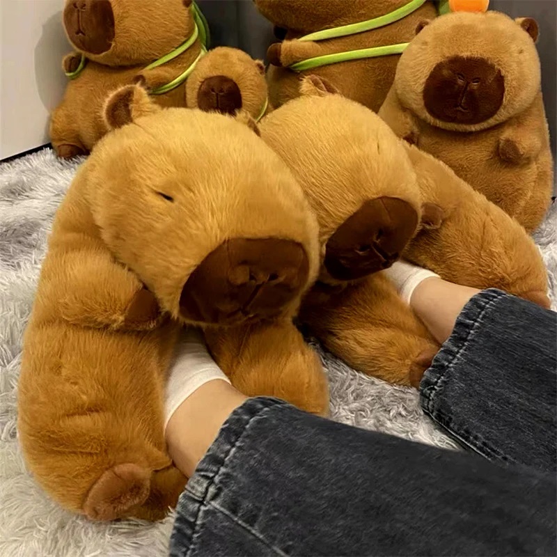 Novidade capivara chinelos uni - Women Shoes Winter avaliação e preço
