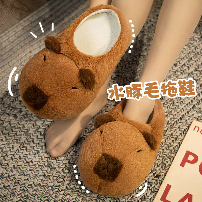 Novidade capivara chinelos uni - Women Shoes Winter avaliação e preço