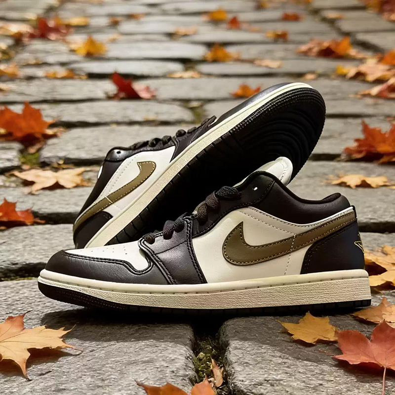 Nike Jordan Air Jordan1 Low Br - Women'S Shoes Nike Jordan avaliação e preço